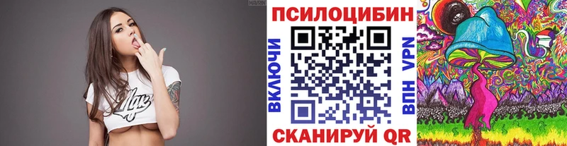 Галлюциногенные грибы Psilocybine cubensis  купить  цена  Саратов 